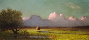 Sonnenlicht und Schatten: Die Newbury-Marschen