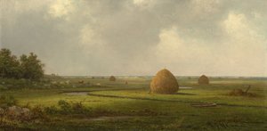 Ansicht von Marshfield von Martin Johnson Heade