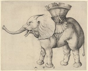 Elefant von Martin Schongauer