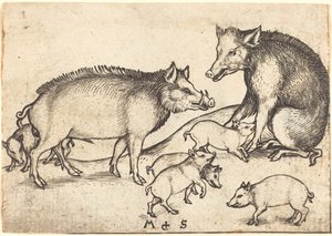 Schweinefamilie