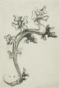 Blattornament von Martin Schongauer