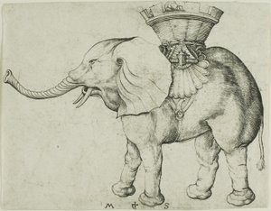 Der Elefant von Martin Schongauer