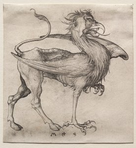 Der Greif von Martin Schongauer