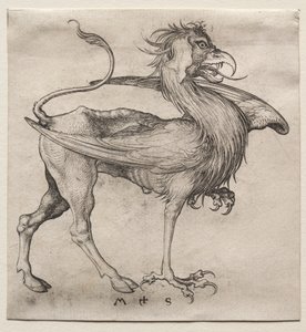 Der Greif, 1400er Jahre von Martin Schongauer