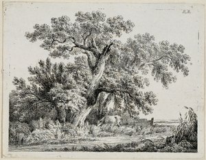 Landschaft