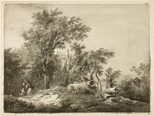 Der gefallene Baumstamm von Martin von Molitor