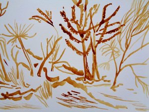 Garten von Martina Konitzky