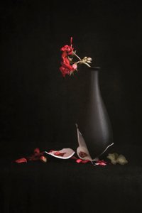 Zerbrochene Vase rote Blumen von Martine Benezech