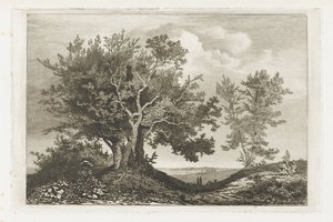 Landweg zwischen zwei Baumgruppen