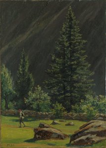 Aus Telemark