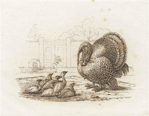 Illustration zu "Halvhundrede Fabler for Børn" von Hey