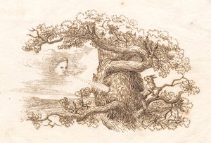 Illustration zu "Halvhundrede Fabler for Børn" von Hey von Martinus Rørbye