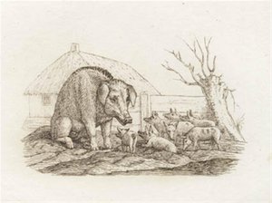 Illustration zu "Halvhundrede Fabler for Børn" von Hey