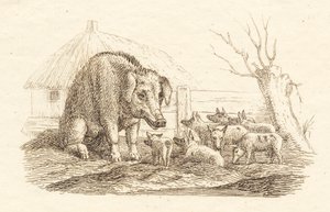 Illustration zu "Halvhundrede Fabler for Børn" von Hey