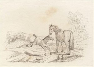 Illustration zu "Halvhundrede Fabler for Børn" von Hey von Martinus Rørbye