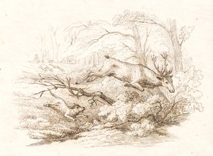 Illustration zu "Halvhundrede Fabler for Børn" von Hey von Martinus Rørbye