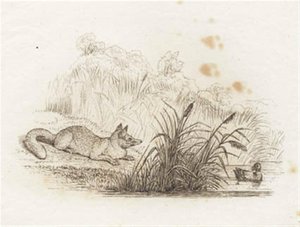 Illustration zu "Fünfzig Fabeln für Kinder" von Hey von Martinus Rørbye