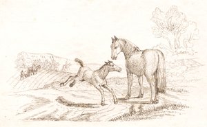 Illustration zu "Halvhundrede Fabler for Børn" von Hey