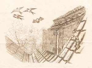 Illustration zu "Halvhundrede Fabler for Børn" von Hey