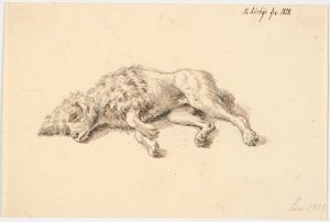 Liegender Pudel von Martinus Rørbye