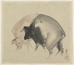 Zwei Stiere von Maruyama Oju