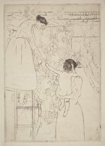 Früchte sammeln von Mary Cassatt