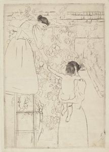 Früchte sammeln, ca. 1893 von Mary Cassatt