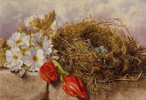 Ein Stillleben mit blühenden Tulpen und einem Vogelnest auf einem Sims von Mary Elizabeth Duffield