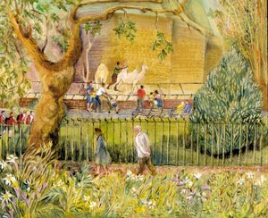 Londoner Zoo, Kamele von Mary Kuper