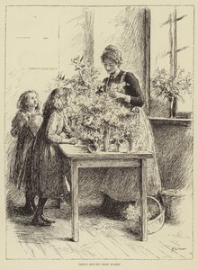 Illustration für Die Geschichte einer Krankenschwester, von Honnor Morten von Mary L. Gow