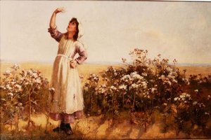 Distelflaum von Mary Louise Breakell