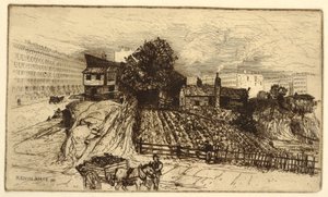 Eine Stadtfarm, New York