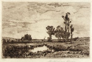 Rinder in einem Teich von Mary Nimmo Moran