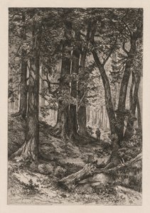 Innenansicht eines kalifornischen Waldes nach Thomas Moran, 1888 von Mary Nimmo Moran