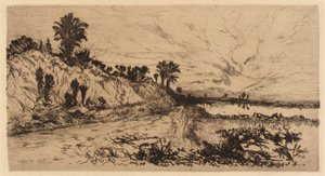 Die Küste Floridas von Mary Nimmo Moran