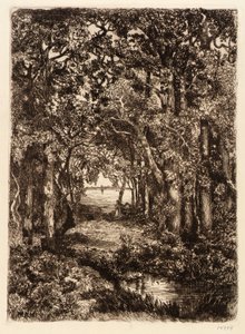 Das Meer durch den Wald