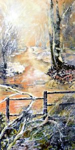 Früher Wintermorgen entlang des Markeaton-Bachs von Mary Smith