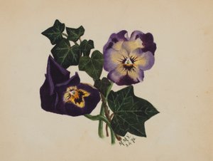 Ohne Titel (Stiefmütterchen und Efeu)