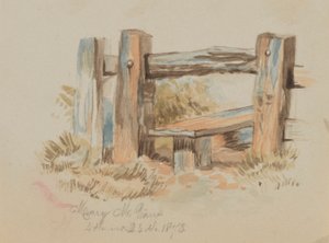 Ohne Titel (Stil) von Mary Vaux Walcott