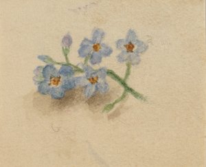 Ohne Titel, 1874 von Mary Vaux Walcott