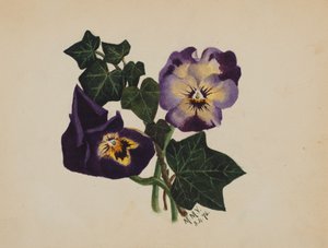 Ohne Titel Stiefmütterchen und Efeu, 1876