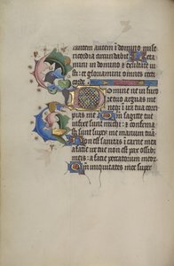 Geschmückte Initiale D