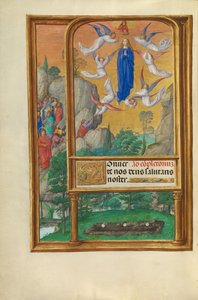 Die Himmelfahrt der Jungfrau von Master of James IV of Scotland