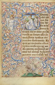 Initiale D: Die Klage von Master of Jean Rolin II (Hand B)