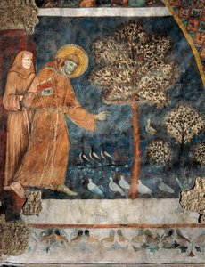 Predigt an die Vögel von Master of Saint Francis of Assisi