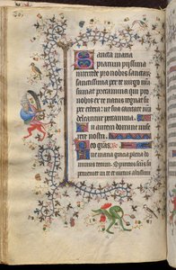 Stunden von Karl dem Edlen, König von Navarra (1361-1425): fol. 43v, Text von Master of the Brussels Initials and Associates