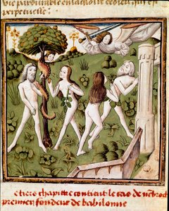 Adam und Eva pflücken die verbotene Frucht. Miniatur des Meisters des Champion des Dames aus dem Manuskript „Von berühmten Männern“ von Giovanni Boccaccio