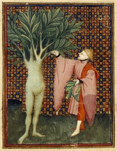 Apollo und Daphne