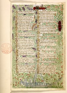 Blumen, Früchte und Insekten, einschließlich einer Heuschrecke und einer Heuschrecke, aus einer Abhandlung über die Tugenden und Laster und eine anonyme Prosa-Geschichte Siziliens (Fragment)