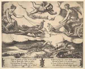 Allegorie der Ehe und Liebe, Juno in einem von Pfauen gezogenen Wagen links, Venus in einem ..., 1530-60